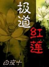 极道之登封少林武学院封面