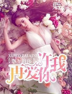 许我再爱你封面