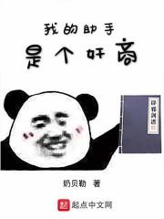 全职公敌封面