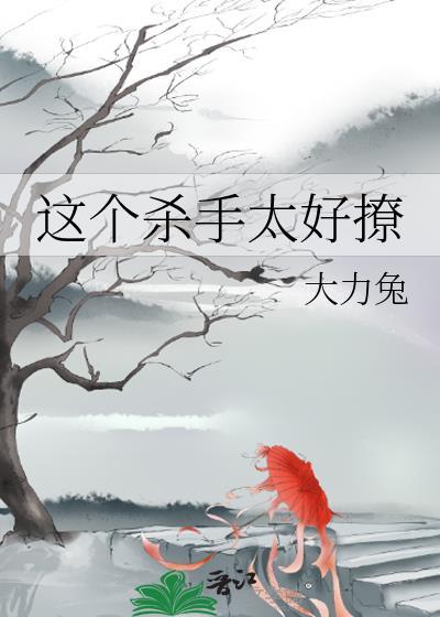 这个杀手太好撩封面