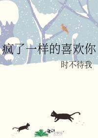 疯了一样的喜欢你封面