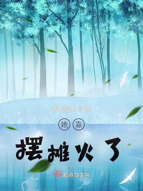 她靠摆摊火了封面