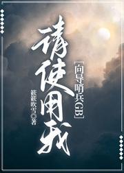 请指引我[向导哨兵GB]封面