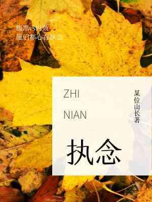 执念封面