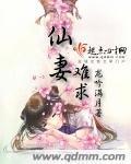仙妻难求封面