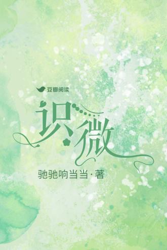 识微封面