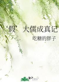 假’大儒成真记封面