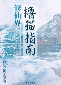 修仙界撸猫指南封面
