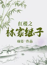 红楼之林家继子封面