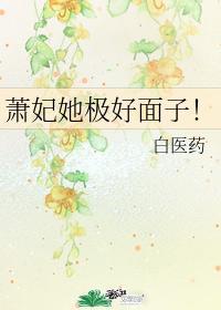 萧妃她极好面子！封面