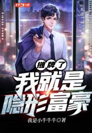 摊牌了我就是隐形富豪封面