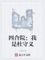四合院：我是杜守义封面
