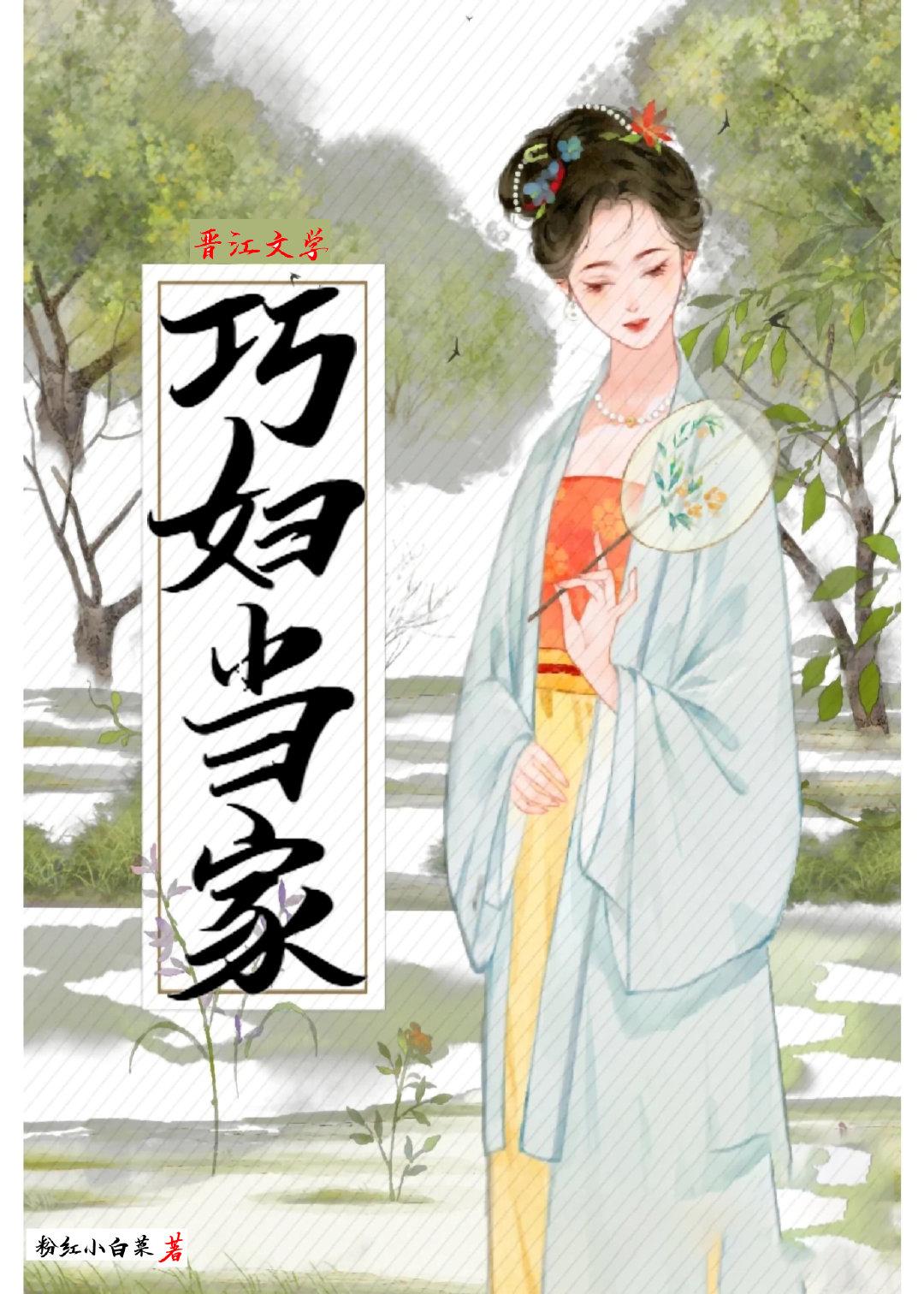 巧妇当家封面