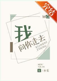 我向你走去封面