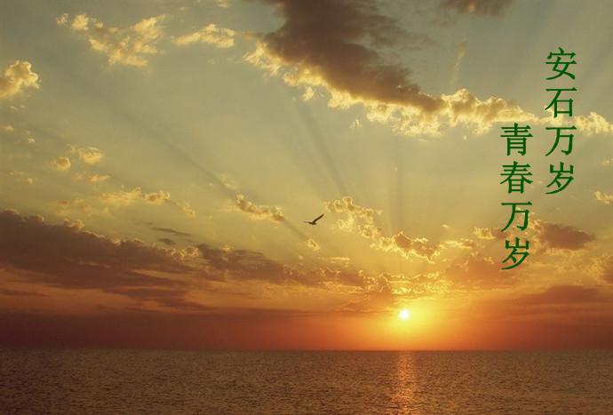 安石万岁，青春万岁封面
