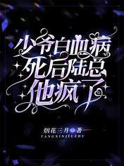 少爷白血病死后，陆总他疯了封面