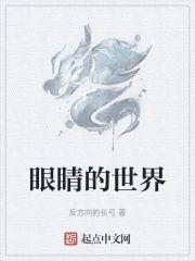 眼睛的世界封面