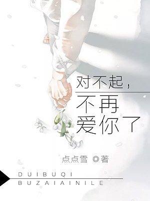 对不起，不再爱你了封面