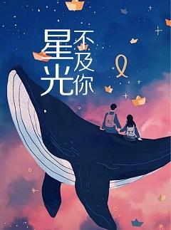星光不及你封面
