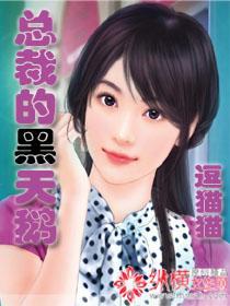 总裁的黑天鹅封面