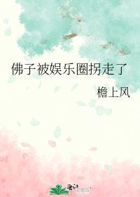 佛子被娱乐圈拐走了封面