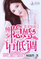 隐婚请低调封面