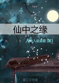 仙中之缘封面
