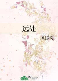 远处封面