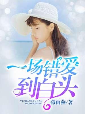 一场错爱到白头封面