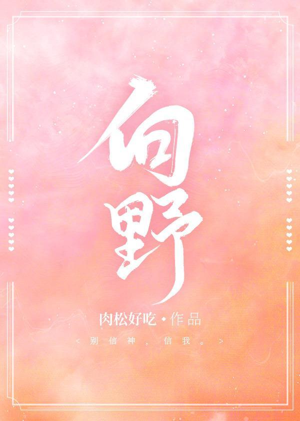 向野封面