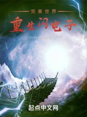 完美世界重生闪电子封面