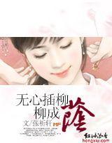 无心插柳柳成荫封面