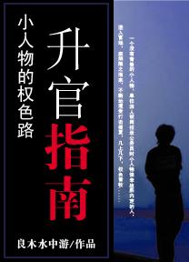 小人物的官场路：升官指南封面