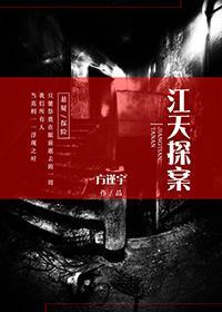 江天探案封面