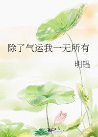 除了气运我一无所有封面