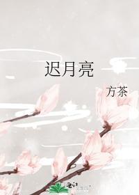 迟月亮封面