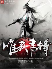 唯我青锋封面