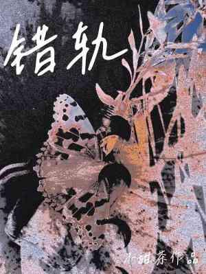 错轨封面