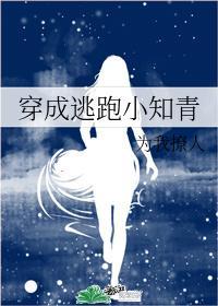 穿成逃跑小知青封面