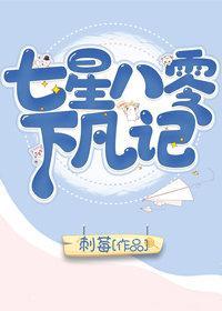 七星八零下凡记封面