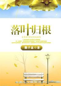 落叶归根封面