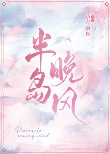 半岛晚风封面