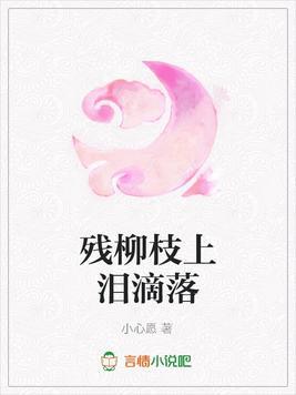 陇西来客封面