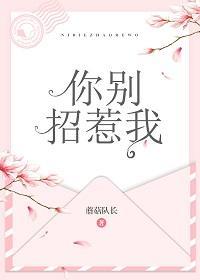 你别招惹我封面