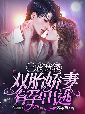 一夜情深：双胎娇妻，有孕出逃封面
