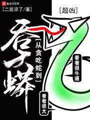 从贪吃蛇到吞天蟒封面