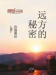 远方的秘密封面