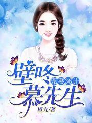 宠妻36计︰壁咚，慕先生封面