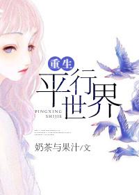 重生平行世界封面