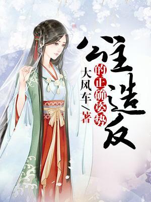 公主造反的正确姿势封面